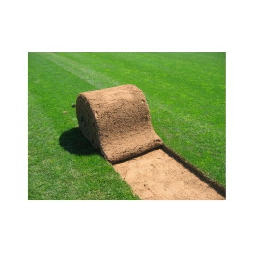TEPES FESTUCA + POA+ RAYGRAS