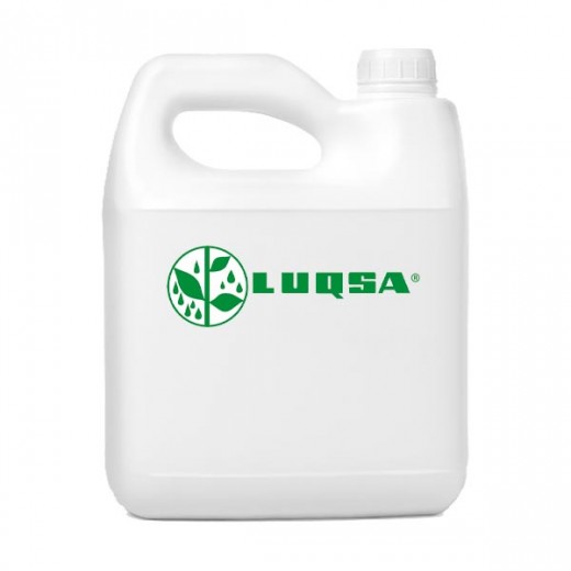 XILUQ PLUS