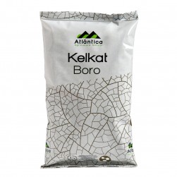 KELKAT BORO 21%
