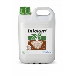 INICIUM