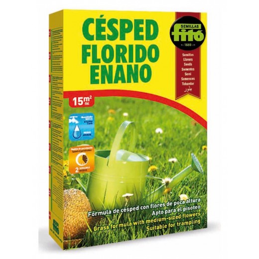 CÉSPED FLORIDO ENANO