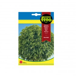 ALBAHACA FINA VERDE