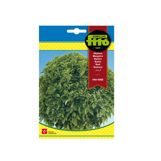 ALBAHACA FINA VERDE