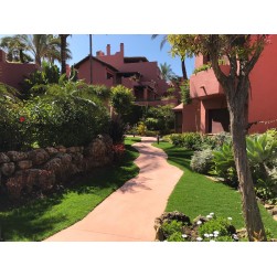 TEPES PASPALUM VAJINATUM