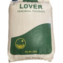 RAYGRASS INGLES LOVER