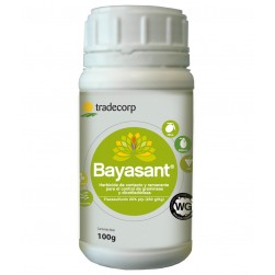 BAYASANT