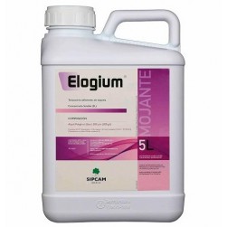 MOJANTE ELOGIUM