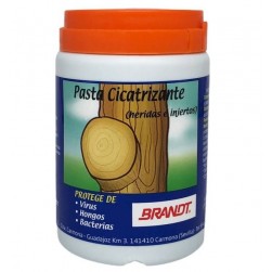 PASTA CICATRIZANTE