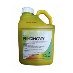 PENDINOVA Nº REG. ES-00490...