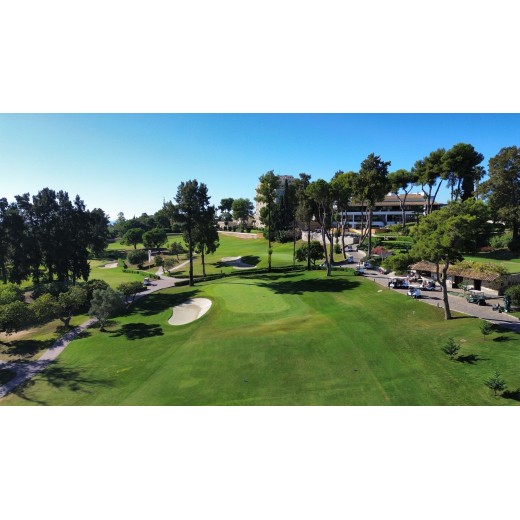 TEPES BERMUDA TAHOMA 31