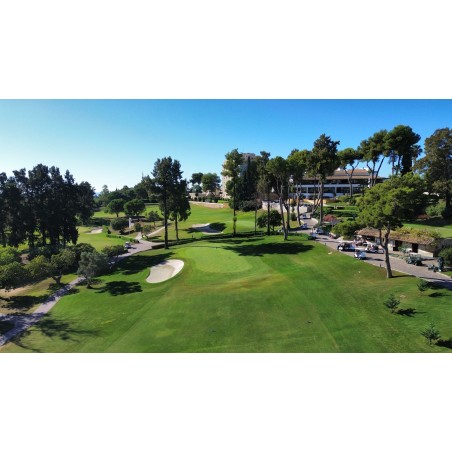 TEPES BERMUDA TAHOMA 31