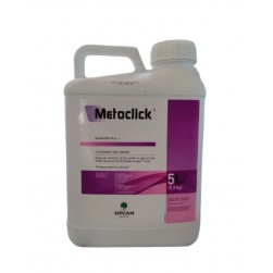 MOJANTE METOCLICK