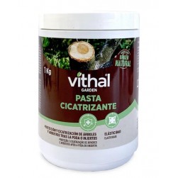 VITHAL PASTA CICATRIZANTE...